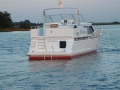 J-Line 12.00 x 3.90
